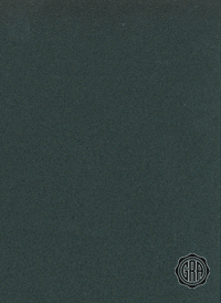 Front (Angled Light)
