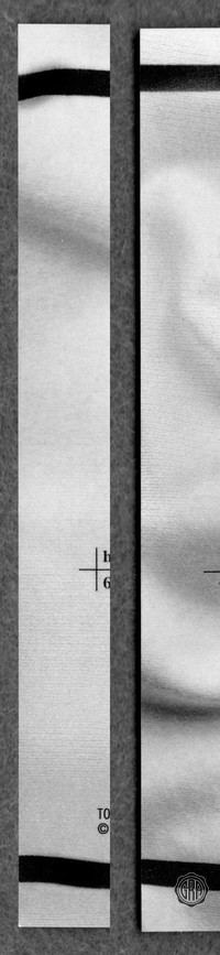 Back Edges (Left/Right)