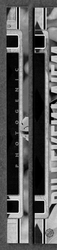 Front Edges (Left/Right)