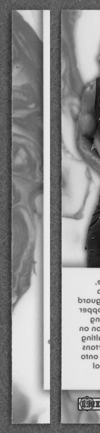 Back Edges (Left/Right)