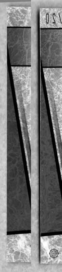Back Edges (Left/Right)