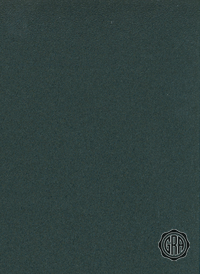 Back (Angled Light)