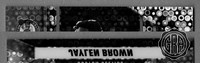 Front Edges (Top/Bottom)