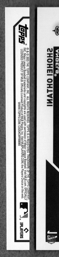 Back Edges (Left/Right)